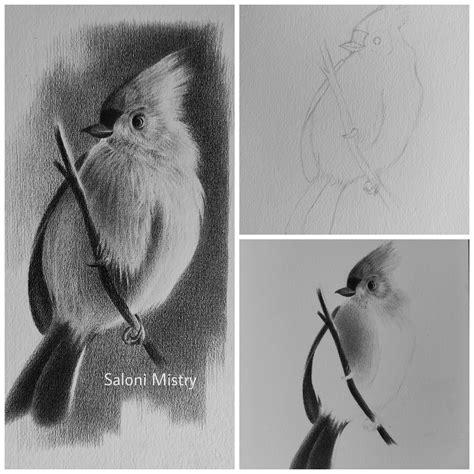 realistic pencil sketches  behance