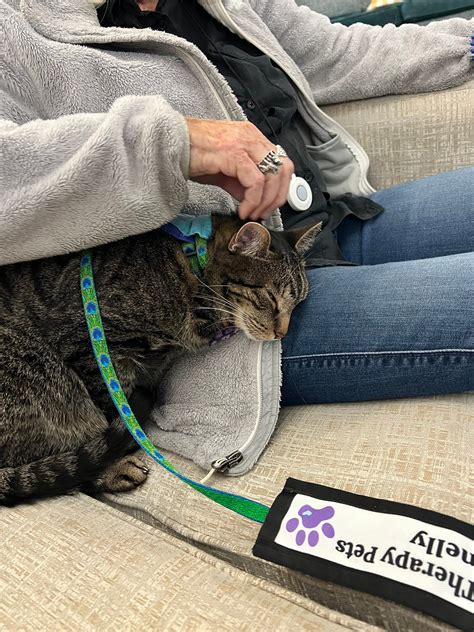 Nashville Therapy Pets added a... - Nashville Therapy Pets