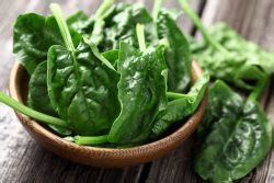 Maximizing Lutein from Spinach