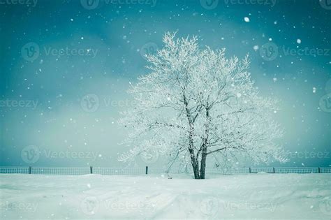 Scenic Winter Landscape 24525983 Stock Photo at Vecteezy