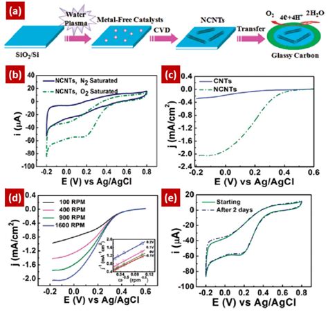 A Water Plasma Assisted Cvd Growth Of Ncnts For The Orr B Cvs Of