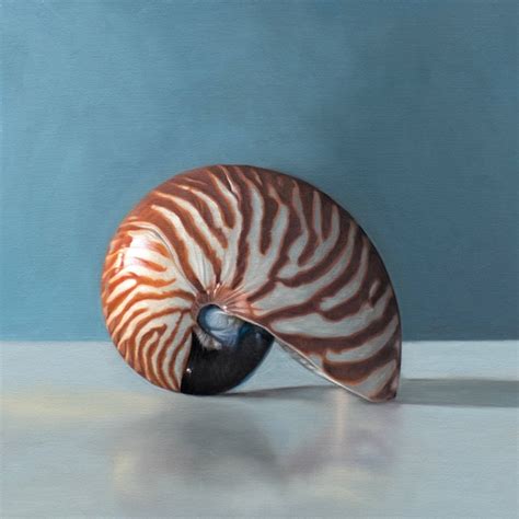 Nautilus Shell Art - Etsy