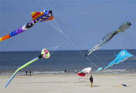 Cerfs Volants Berck Sur Mer