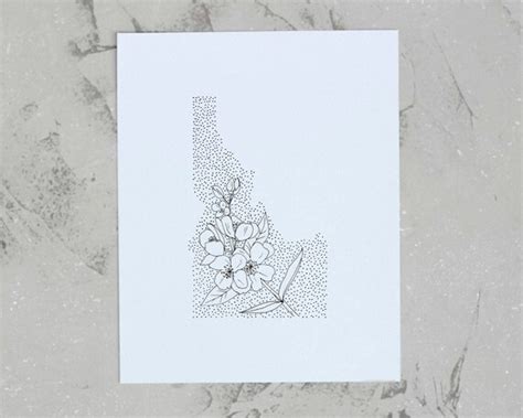 Idaho Syringa State Flower Drawing Giclee Print by annatovar