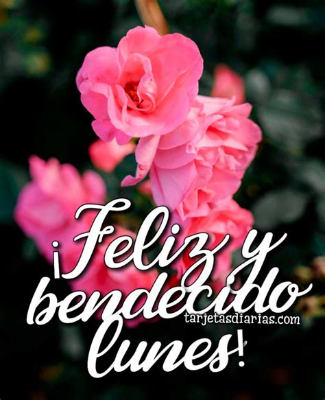 Descubrir 106 Imagen Buenos Dias Feliz Y Bendecido Lunes Viaterra Mx