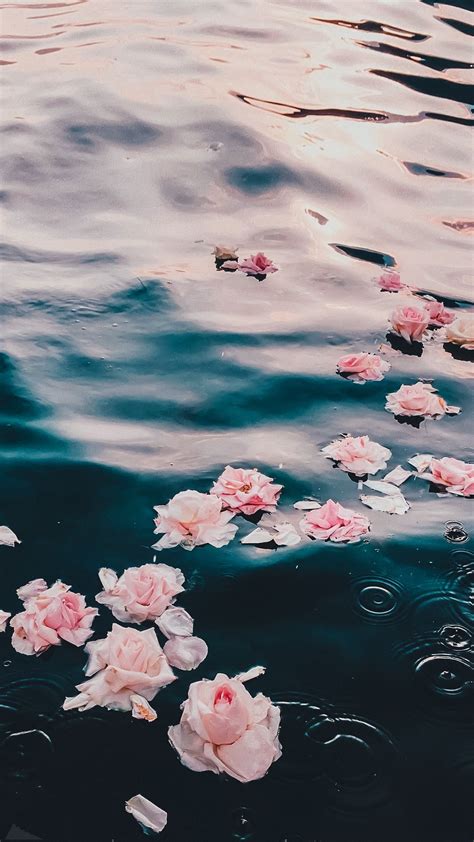 Flowers In Water Wallpapers - Wallpaper Cave