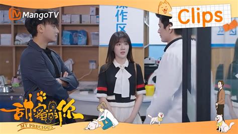 《甜蜜的你 My Precious》田琳准备打硬仗 💕🐩 My Precious Highlights Mangotv Drama