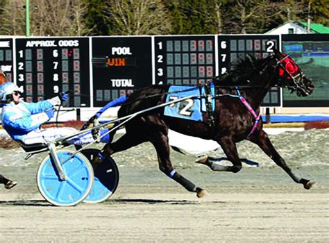 Saratoga Harness Racing Calendar - Dania Electra