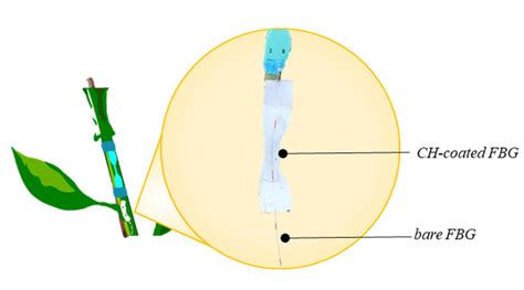 Schematic Representation Of The Environmental Plant Wearable Sensor Download Scientific