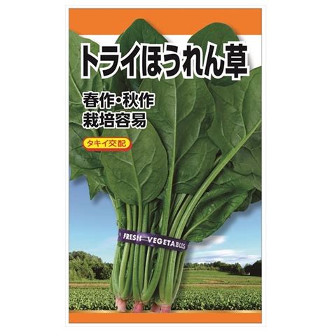 【楽天市場】ほうれん草 【タキイ交配 トライほうれん草】 種・小袋 （20ml） F1（一代交配種）：苗木部 By 花ひろばオンライン