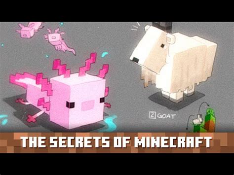 Minecraft’s screaming goats use 50% goat screams, 50% human screams