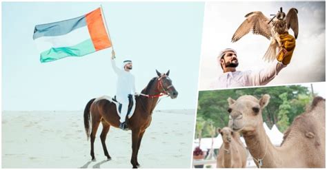 8 Popular Traditional Sports In The UAE Dubai OFW