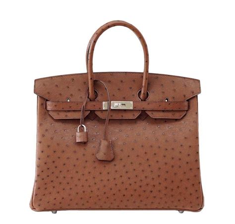 Hermes Ostrich Birkin Bag Iqs Executive