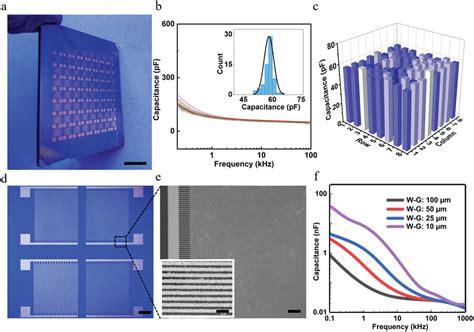 Characterization Of Microfabricated Arrays Of Biodegradable Ide