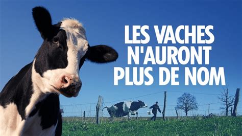 Les Vaches N Auront Plus De Nom En Replay La France En Vrai