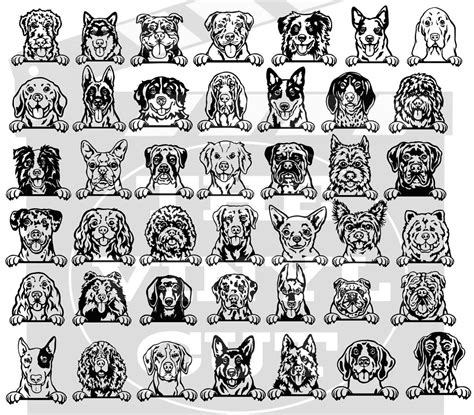 Dog Breed Decals - Etsy