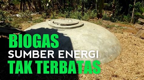 PEMANFAATAN KOTORAN SAPI MENJADI BIOGAS Eps28 YouTube