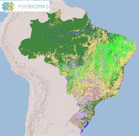 Geografia E Cartografia Digital Mapbiomas Dados De Uso E Cobertura