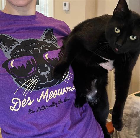 Des Meownes Litter Ally The Best T Shirt Bozz Prints