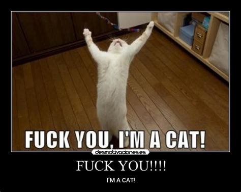 FUCK YOU Desmotivaciones