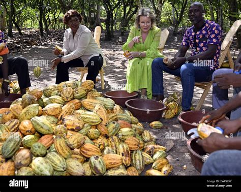 San Pedro Ivory Coast 06th Mar 2024 Queen Mathilde Of Belgium