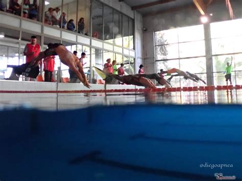 Resultados Campeonato Nacional de Natación con Aletas FEDESUB