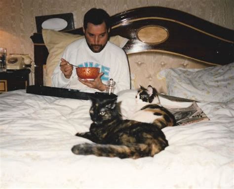 20 Vintage Photos Of Freddie Mercury And His Cats That Show His Love ...