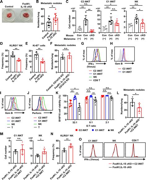 A Circulating Subset Of INKT Cells Mediates Antitumor And Antiviral