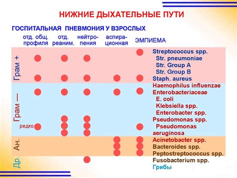 Антибактериальные средства в интенсивной терапии - презентация онлайн