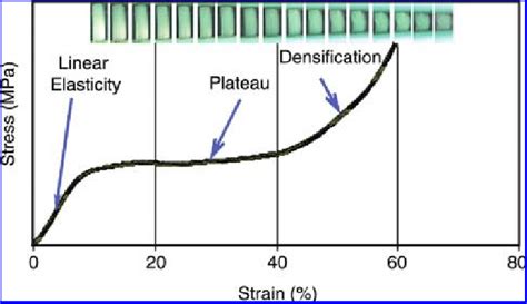 Typical stress-strain curve of porous scaffold under compression ...