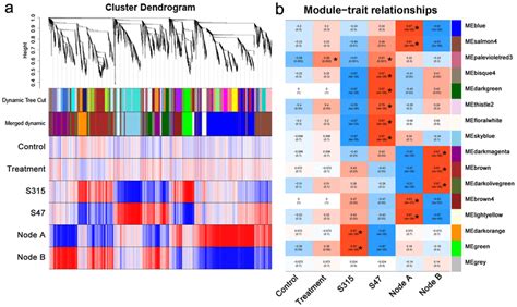 Wgcna Module Identification And Correlation Analysis A The