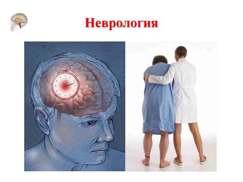 Неврология. Анатомия и физиология нервной системы - презентация онлайн