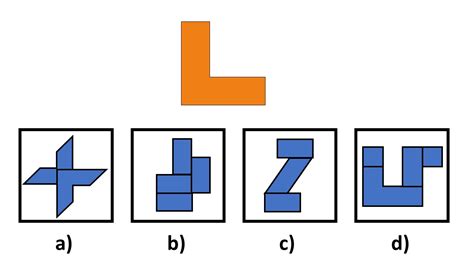 The Cat Cognitive Abilities Test Complete Guide