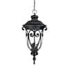 Acclaim Lighting Naples Collection Light Matte Black Outdoor Hanging