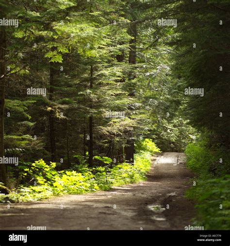 Mt Robson Provincial Park Canada Stock Photo - Alamy