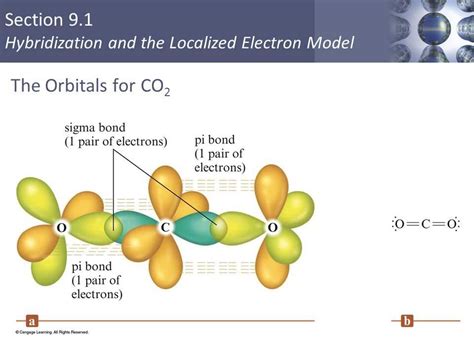 Understanding the Orbital Diagram of Hybridized CO2 Molecule