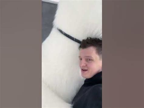 Девушка надевает надувной костюм медведя. Аэрокостюм МИШКИ - YouTube