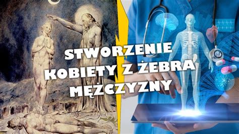 Biblia Vs Nauka Stworzenie Kobiety Z Ebra M Czyzny Cda