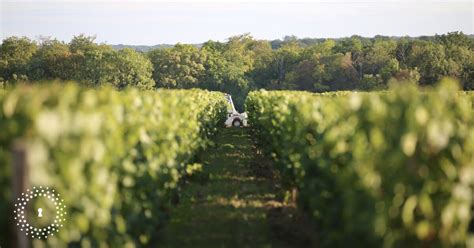 Le Domaine De La Bouche Du Roi Dispo Et Tarif Snapevent