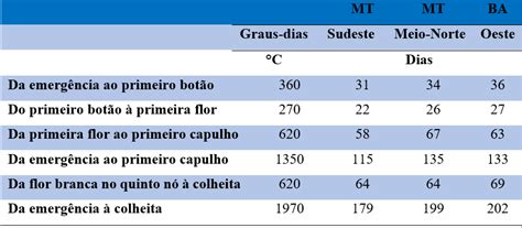 Ciclo do algodão conheça todas as etapas de desenvolvimento