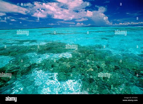 France French Polynesia Tuamotu Archipelago Atoll Of Rangiroa Stock