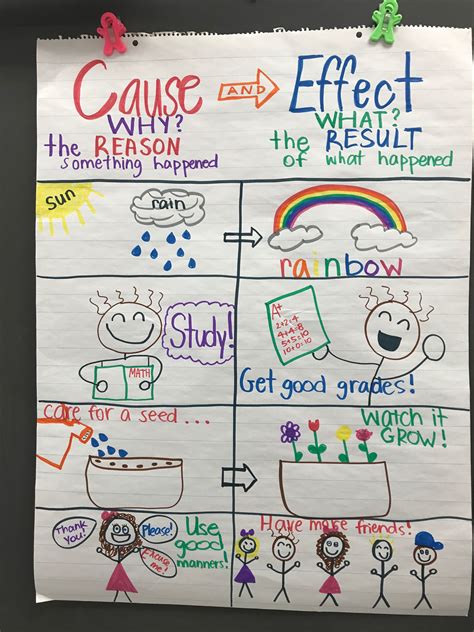 Cause And Effect Passages 3rd Grade