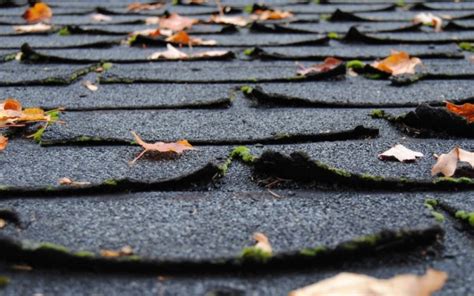 6 Common Problems With An Asphalt Shingle Roof