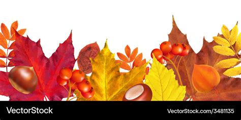 Autumn border Royalty Free Vector Image - VectorStock