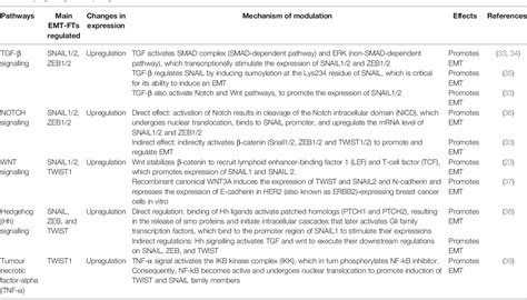 Table From Understanding The Complex Milieu Of Epithelial Mesenchymal