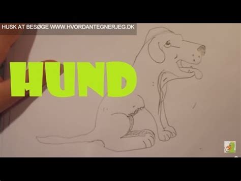 L R At Tegne En Hund Hvordantegnerjeg Dk Youtube