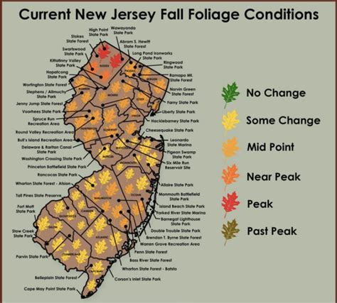 Peak Fall Colors Have Arrived In Part Of N J Heres Where The Leaves