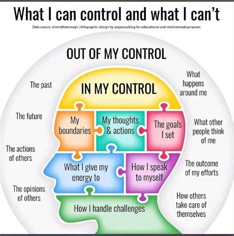 What I Can Control And What I Cant Equip For Life Coaching