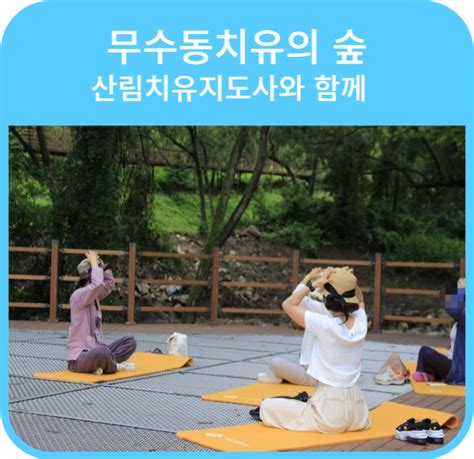 평생교육 추천 산림치유지도사와 무수동 치유의 숲 네이버 블로그