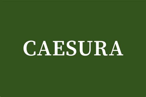 Caesura - Poetry Is Pretentious